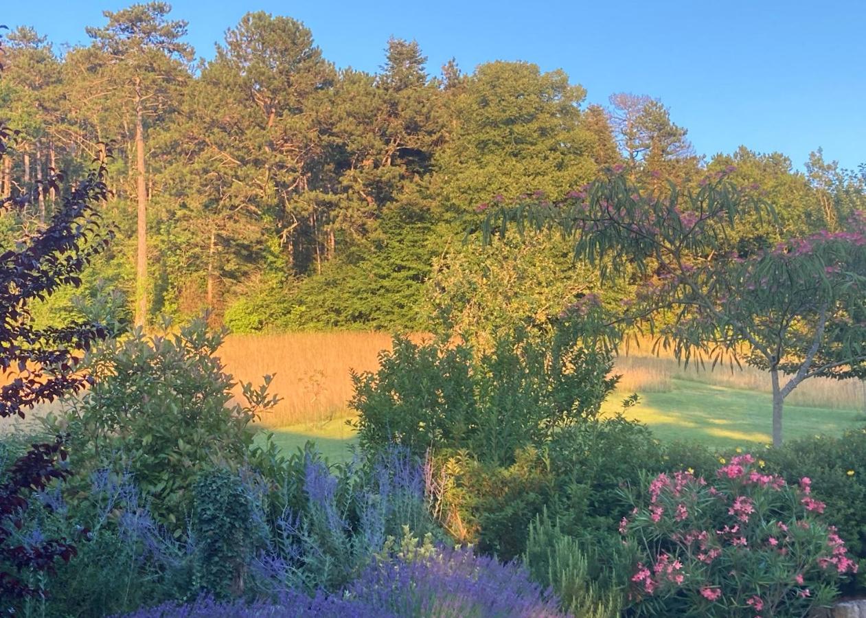Penne-dʼAgenais La Bastide Portoly B&B "Pruneaux" المظهر الخارجي الصورة